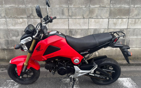 HONDA GROM JC61