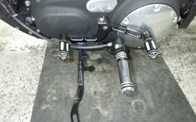 HARLEY XL883N 2015