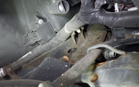 HONDA LEAD 110 2026 JF19
