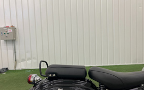 BENELLI IN PE REAR -RE400 2022 P09