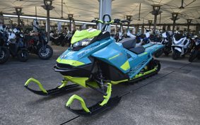 OTHER スノーモビル 2020