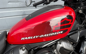 HARLEY RH975 NIGHT STAR 2023 ZH1