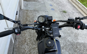 YAMAHA TW225 DG09J