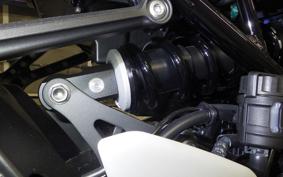 KAWASAKI Z900RS 2025 ZR900K