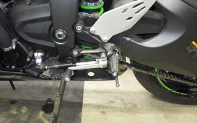 KAWASAKI NINJA ZX-6R A 2019 ZX636G