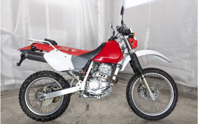 YAMAHA YZF-R25 RG74J