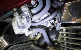 YAMAHA VIRAGO 250 1989 3DM