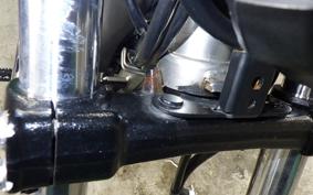 YAMAHA TRICKER DG10J
