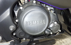 YAMAHA YZF-R15