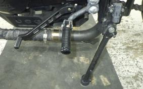 OTHER MUTT250