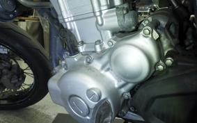 YAMAHA WR250X DG15J