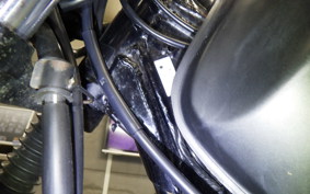 YAMAHA TW225 2021 DG09J
