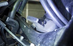 KAWASAKI W800 2022 EJ800E