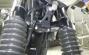 KAWASAKI W800 2020 EJ800B