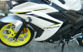 YAMAHA YZF-R25 RG43J