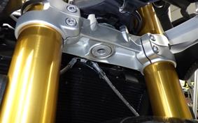 TRIUMPH SPEED TRIPLE RR 2024