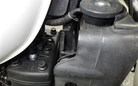 YAMAHA RZ 250 2008 4L3