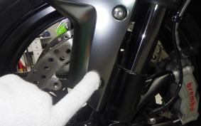 KAWASAKI NINJA H2 CARBON 2021 ZXT02J