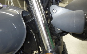 OTHER MUTT250 2021