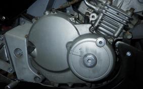 HONDA HORNET 250 2009 MC31