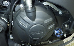 YAMAHA YZF-R25 2014 RG10J