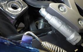 SUZUKI V-STROM 250 A 2010