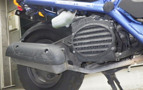 HONDA ZOOMER AF58
