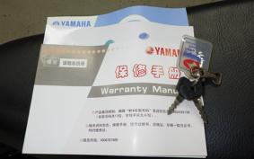 YAMAHA i8 115