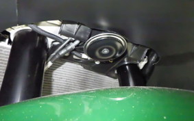 KAWASAKI ZX 1400 NINJA R A 2020