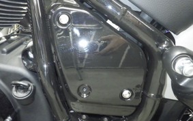INDIAN Chief Dark Horse bobber 2025
