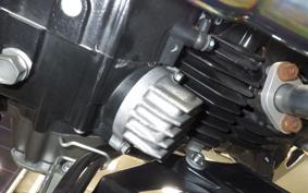 KAWASAKI Z125 PRO 2020 BR125H