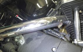 HARLEY XL1200X