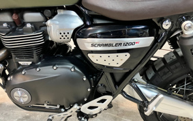 TRIUMPH SCRAMBLER 1200XC 2020 DAD81H