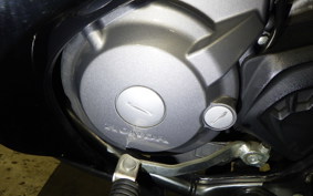 HONDA CRF250 RALLY LD 2013 MD44