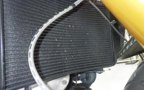 INDIAN FTR1200R carbon 2025