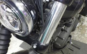 HARLEY FXBB1750 2019