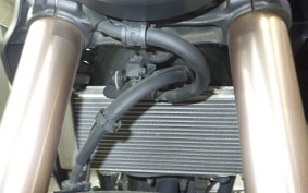 HONDA CB250RA 2023 MC52