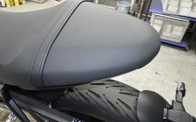 TRIUMPH TRIDENT 660 2024
