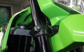 KAWASAKI KLX250 Gen.2 2026 LX250S