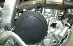 YAMAHA WR250R 2006 DG15J