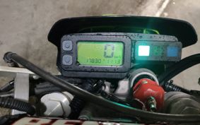 KAWASAKI KLX250 LX250E