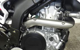 YAMAHA WR250X DG15J