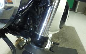KAWASAKI W230 2017 BJ230A