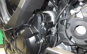 KAWASAKI NINJA 1000SX 2024 ZXT02K