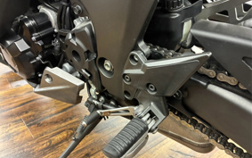 KAWASAKI NINJA 1000SX 2020