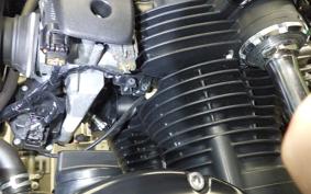 KAWASAKI W800 STREET 2020 EJ800B