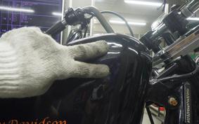 HARLEY FXST 1580 2009