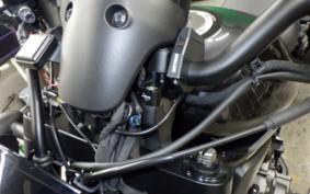 HONDA REBEL 1100 DCT 2021 SC83