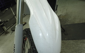 YAMAHA WR250R 2006 DG15J