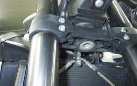 TRIUMPH STREET TRIPLE R 2020